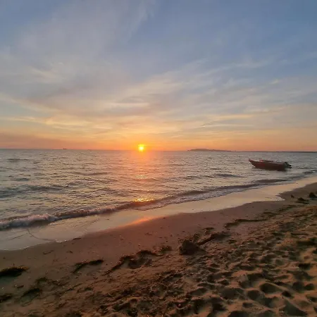 Apartment Friendly *