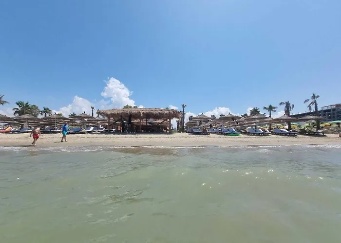 Apartment Friendly *